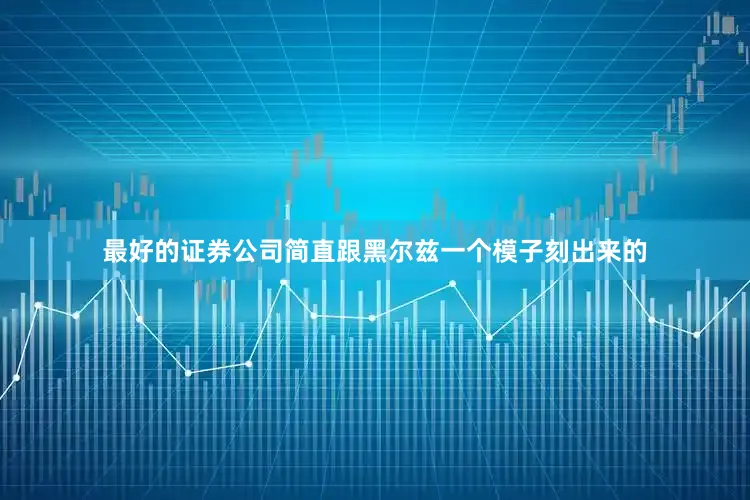最好的证券公司简直跟黑尔兹一个模子刻出来的