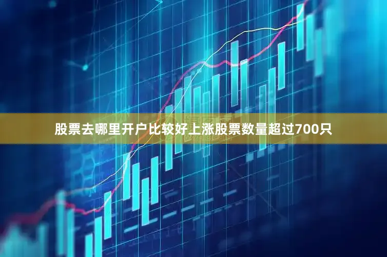 股票去哪里开户比较好上涨股票数量超过700只