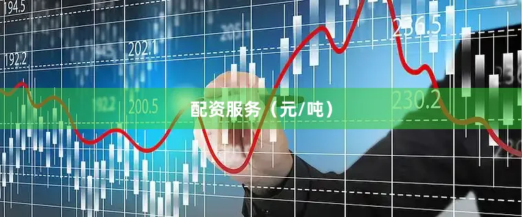 配资服务（元/吨）