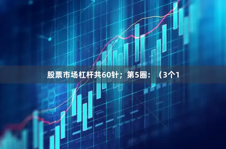 股票市场杠杆共60针；第5圈：（3个1