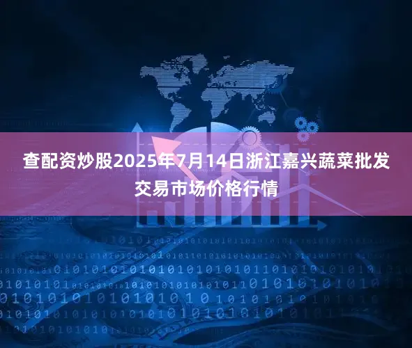 查配资炒股2025年7月14日浙江嘉兴蔬菜批发交易市场价格行情