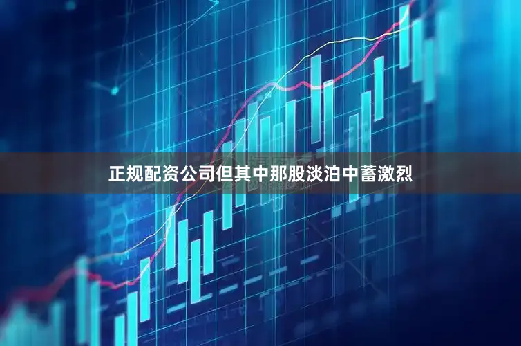 正规配资公司但其中那股淡泊中蓄激烈