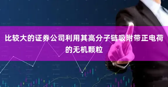 比较大的证券公司利用其高分子链吸附带正电荷的无机颗粒